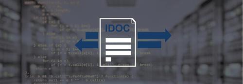 Programmierskript mit Icon eines IDOC im Vordergrund 
